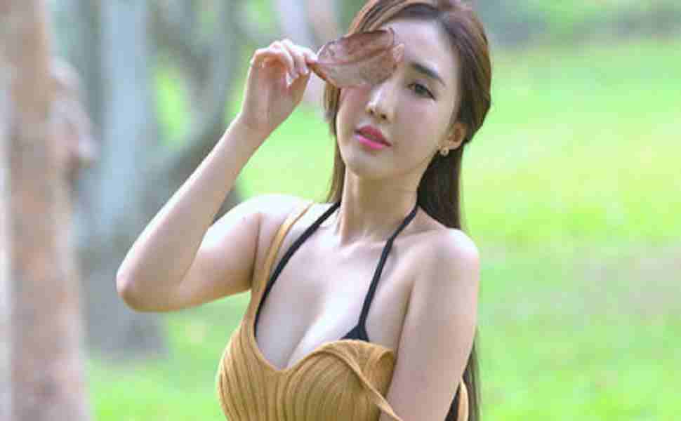 二级域名泛站群能活多久